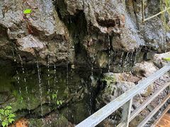 -龙苍沟森林公园
