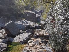 -石台牯牛降景区