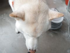 -微焙咖啡工厂(海峡创意产业园·红坊店)