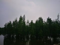 -白鹭湾湿地公园