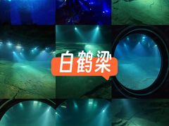 -白鹤梁水下博物馆