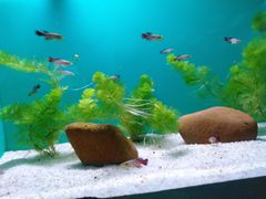 -上海海洋水族馆