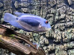 -上海海洋水族馆