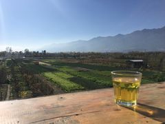 -翠田Green Field Kitchen