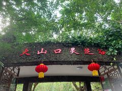 -海口火山口国家地质公园