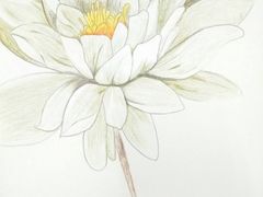 -一品格美术·中考高中成人美术培训