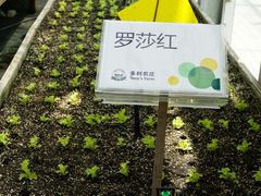 -上海多利农业发展有限公司