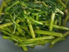 -天鹅到家·保姆月嫂育儿嫂(朝阳店)