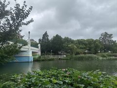 -新江湾城公园
