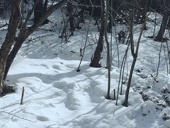-华山风景名胜区