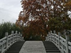 -西安市长乐公园