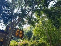 -野象谷景区