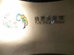 -上海动漫博物馆