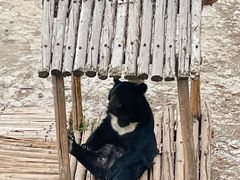 -青藏高原野生动物园