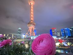 -东方明珠广播电视塔