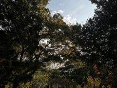 -青岛德国总督楼旧址博物馆