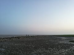 -南汇嘴观海公园