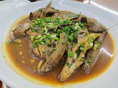 -全乐鱼馆·淳牌有机鱼直营店
