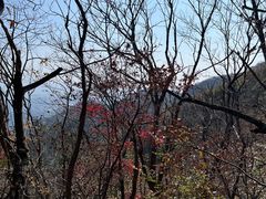 -信阳灵山风景区