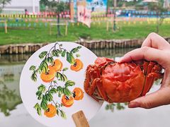 -乡乐园蟹庄·阳澄湖农家乐