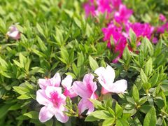 -西南民族大学南区(双流校区)