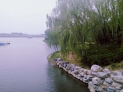 -大兴滨河森林公园