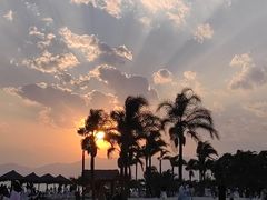 -月亮湾湿地公园