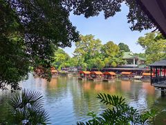 -侨美·唐荔园·40年地道粤菜