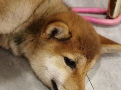 -有何Book(六堰体育馆店)