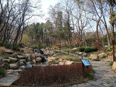 -大连植物园