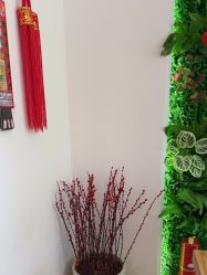 点击看大图 -森林头疗美容养发馆