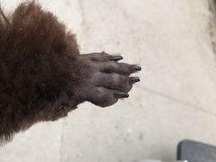 -酷狗靓猫宠物·洗护·美容·寄养(航北路店)