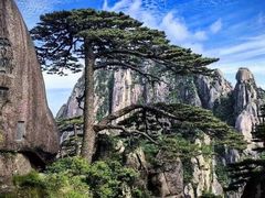 -黄山风景区