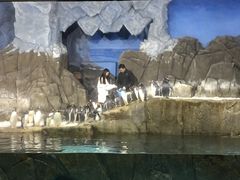 -成都浩海立方海洋公园