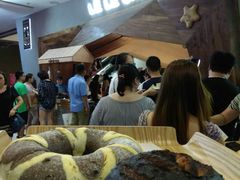 -LELECHA乐乐茶(上海五角场万达广场店)