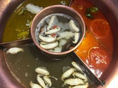 -老诚一锅羊蝎子(黄寺大街店)