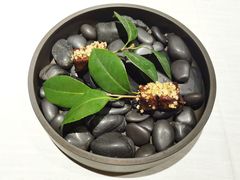 -The Georg(东华门店)