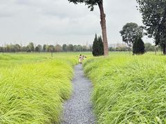 -汉长安城未央宫国家考古遗址公园