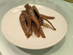 -老吉士(环贸iapm店)