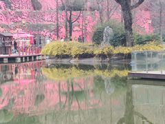 -西安曲江寒窑遗址公园
