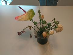-dotcom coffee古点咖啡(致真大厦店)