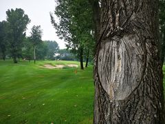 -宝瑞门钉肉饼店