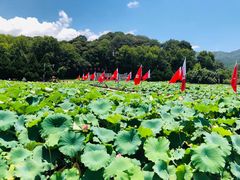 -古田会议纪念馆