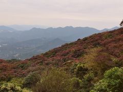 -广州市石门国家森林公园