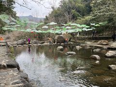 -石台牯牛降景区