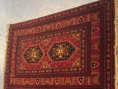 -巴依老爷新疆美食(望京小街店)