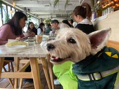 -the rug 飞毯 (朝阳公园店)