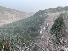 -府君山公园