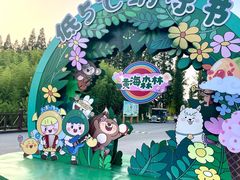 -黄海国家森林公园
