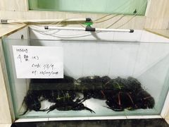 -海盗餐厅